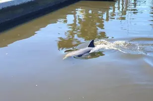 6912 7th Ave Blvd NW, Bradenton, FL 34209 - Photo 57