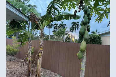 4620 7th Avenue W, Bradenton, FL 34209 - Photo 47