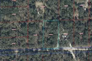 03381-269-00 NE 85th St, Bronson, FL 32621 - Photo 1
