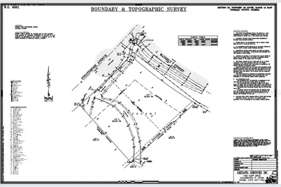 910 Waverly St Avenue, Oldsmar, FL 34677 - Photo 7