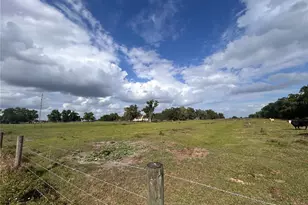 Washington St, Arcadia, FL 34266 - Photo 1