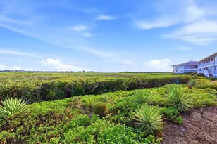 1323 Perico Point Cir, Bradenton, FL 34209 - Photo 39