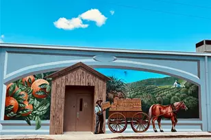 165 Anderson St, Lake Placid, FL 33852 - Photo 33