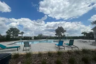 14806 Summer Br Dr, Lithia, FL 33547 - Photo 41