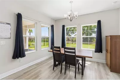 14806 Summer Branch Drive, Lithia, FL 33547 - Photo 13