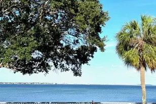 4015 Bayshore Blvd, Tampa, FL 33611 - Photo 19
