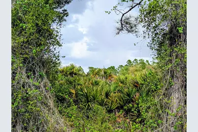 Callaghan Lane, North Port, FL 34291 - Photo 5