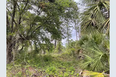 Lot 15 Ananas Road, North Port, FL 34288 - Photo 5