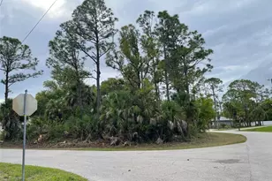 Lot 15 Ananas Rd, North Port, FL 34288 - Photo 1
