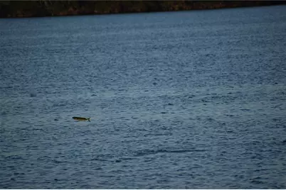 3863 Catalina Drive, Bradenton, FL 34210 - Photo 39