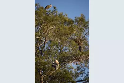 3863 Catalina Drive, Bradenton, FL 34210 - Photo 37