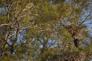 3863 Catalina Dr, Bradenton, FL 34210 - Photo 37