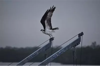 3863 Catalina Drive, Bradenton, FL 34210 - Photo 41