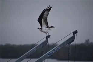 3863 Catalina Dr, Bradenton, FL 34210 - Photo 41