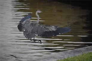 3863 Catalina Dr, Bradenton, FL 34210 - Photo 35