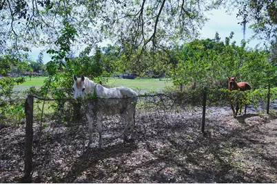 710 & 740 Evans Road, Labelle, FL 33935 - Photo 67