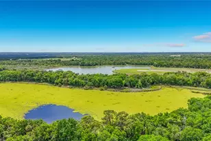 15315 37th Ct E, Parrish, FL 34219 - Photo 95