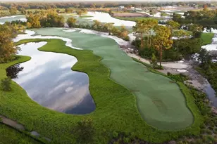 33712 Bellino Pl, Myakka City, FL 34251 - Photo 5