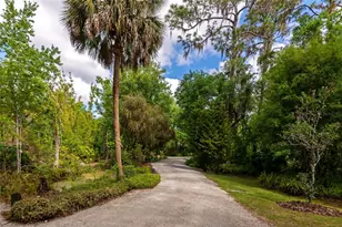 3110 Turkey Walk Ln, Wimauma, FL 33598 - Photo 47