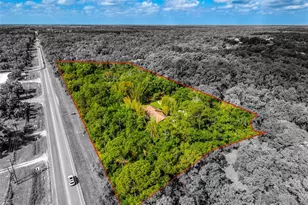 3110 Turkey Walk Ln, Wimauma, FL 33598 - Photo 7