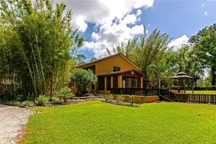 3110 Turkey Walk Ln, Wimauma, FL 33598 - Photo 65