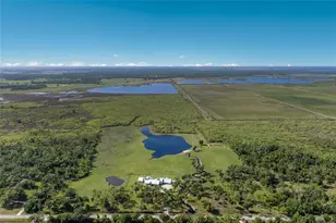 30854 Singletary Rd, Myakka City, FL 34251 - Photo 3