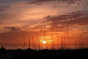 3610 Bayou Cir, Longboat Key, FL 34228 - Photo 85