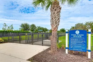 14269 Skipping Stone Loop, Parrish, FL 34219 - Photo 41