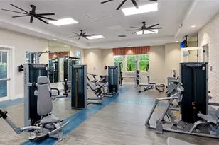 14269 Skipping Stone Loop, Parrish, FL 34219 - Photo 57