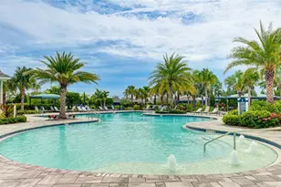 14269 Skipping Stone Loop, Parrish, FL 34219 - Photo 53