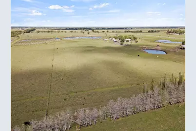 13805 Mj Road, Myakka City, FL 34251 - Photo 11