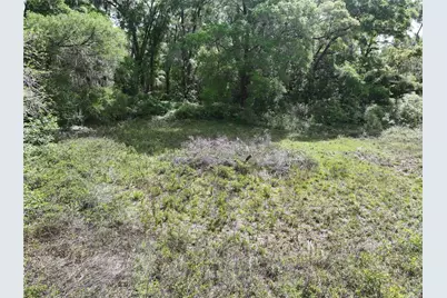 0 NW 38th Street, Reddick, FL 32686 - Photo 5