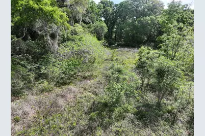 0 NW 38th Street, Reddick, FL 32686 - Photo 11