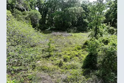 0 NW 38th Street, Reddick, FL 32686 - Photo 7