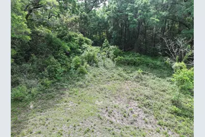 0 NW 38th Street, Reddick, FL 32686 - Photo 9