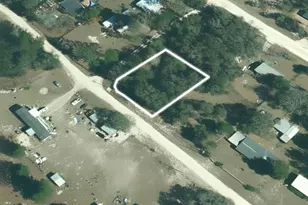 06721-010-00 NE 139th Ave, Williston, FL 32696 - Photo 1