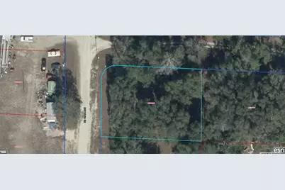06721-010-00 NE 139th Avenue, Williston, FL 32696 - Photo 1
