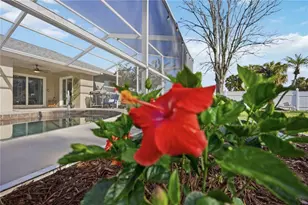 1150 Waterside St, Port Charlotte, FL 33952 - Photo 47