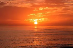 1300 Benjamin Franklin Dr, Sarasota, FL 34236 - Photo 61