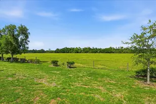 15769 High Bell Pl, Bradenton, FL 34212 - Photo 17