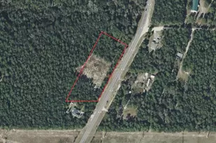 1099 Co Hwy 1087, Defuniak Springs, FL 32433 - Photo 1