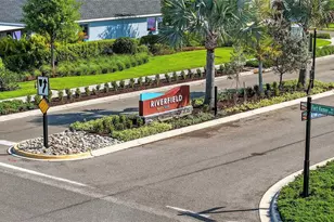 11912 Richmond Trl, Parrish, FL 34219 - Photo 53