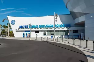 4734 Delmonte Ave, Sarasota, FL 34235 - Photo 35