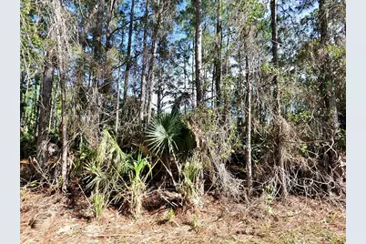 Nagengast Street, North Port, FL 34288 - Photo 1