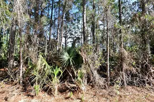 Nagengast St, North Port, FL 34288 - Photo 1