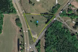 95 Dorsey-Calvary Rd, Havana, FL 32333 - Photo 1