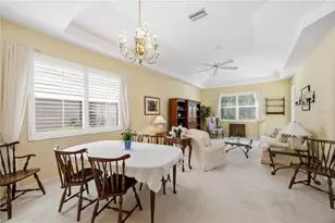 3011 Woodland Fern Dr, Parrish, FL 34219 - Photo 9