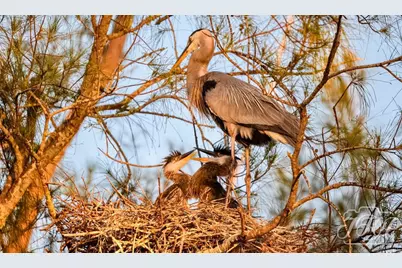 4726 Potomac Circle, Bradenton, FL 34210 - Photo 57