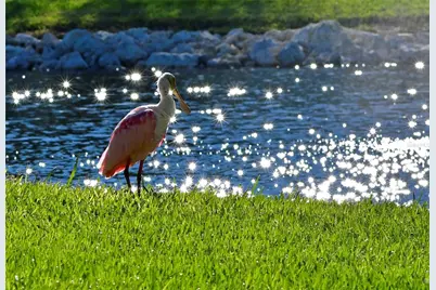 4726 Potomac Circle, Bradenton, FL 34210 - Photo 3