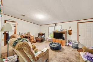 6633 Glen Meadow Loop, Lakeland, FL 33810 - Photo 3